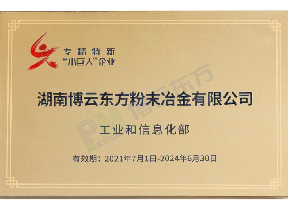 國家級專精特新“小巨人”